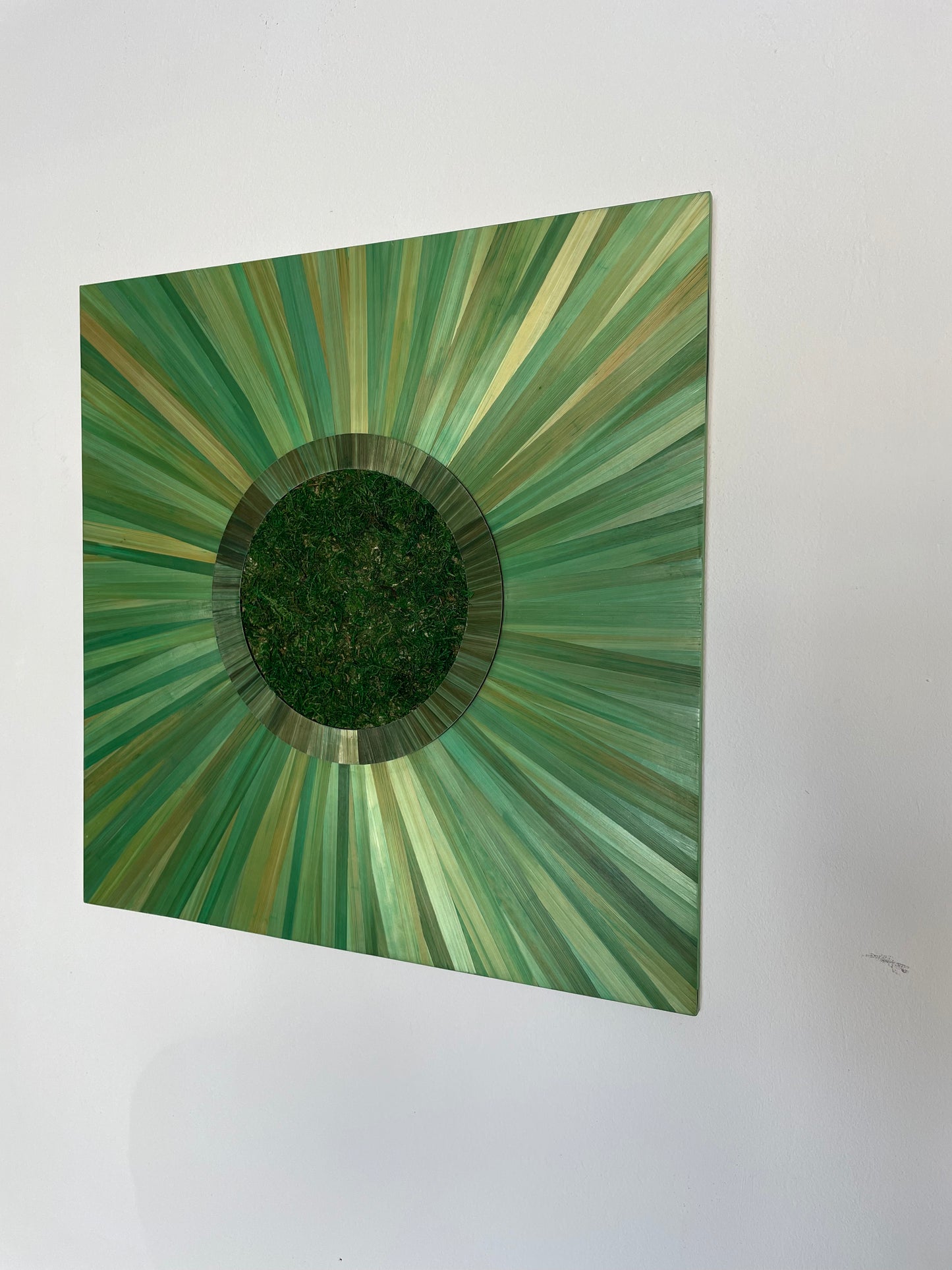 Paille et mousse végétale