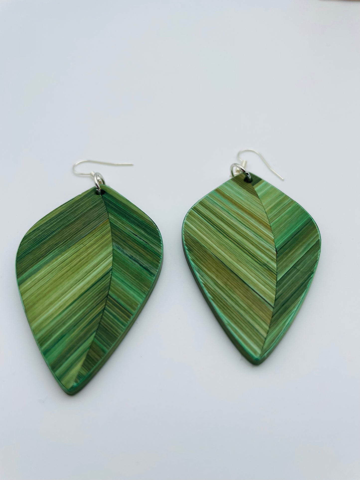 Collection Végétale Envol